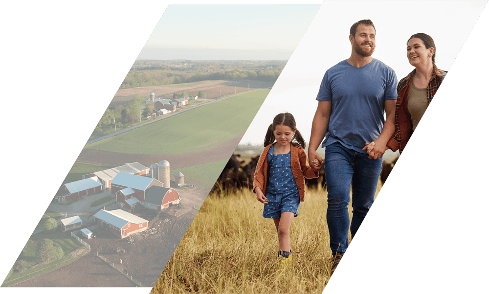 Family walking through their mineral farm.