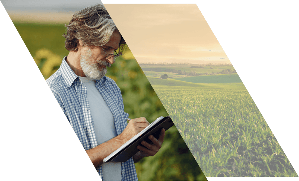 Farmer noting his mineral earnings inside his plantation farm, next to a large plantation farm at sunset.