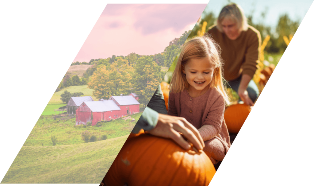 Family cultivating pumpkins on their farm next to a large mineral farm.